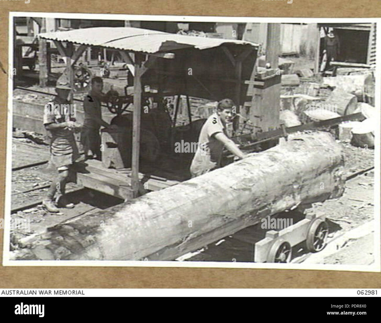 85 Members of the 17th Battalion, Volunteer Defence Corps, at their civilian occupation working a drag saw, Yungaburra, 1944 Stock Photo