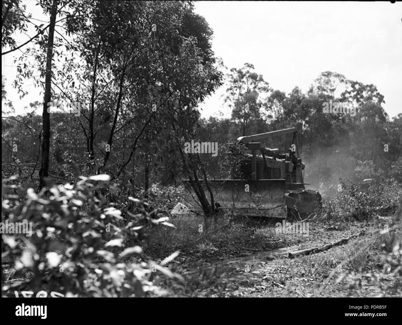 Inala Black and White Stock Photos & Images - Alamy