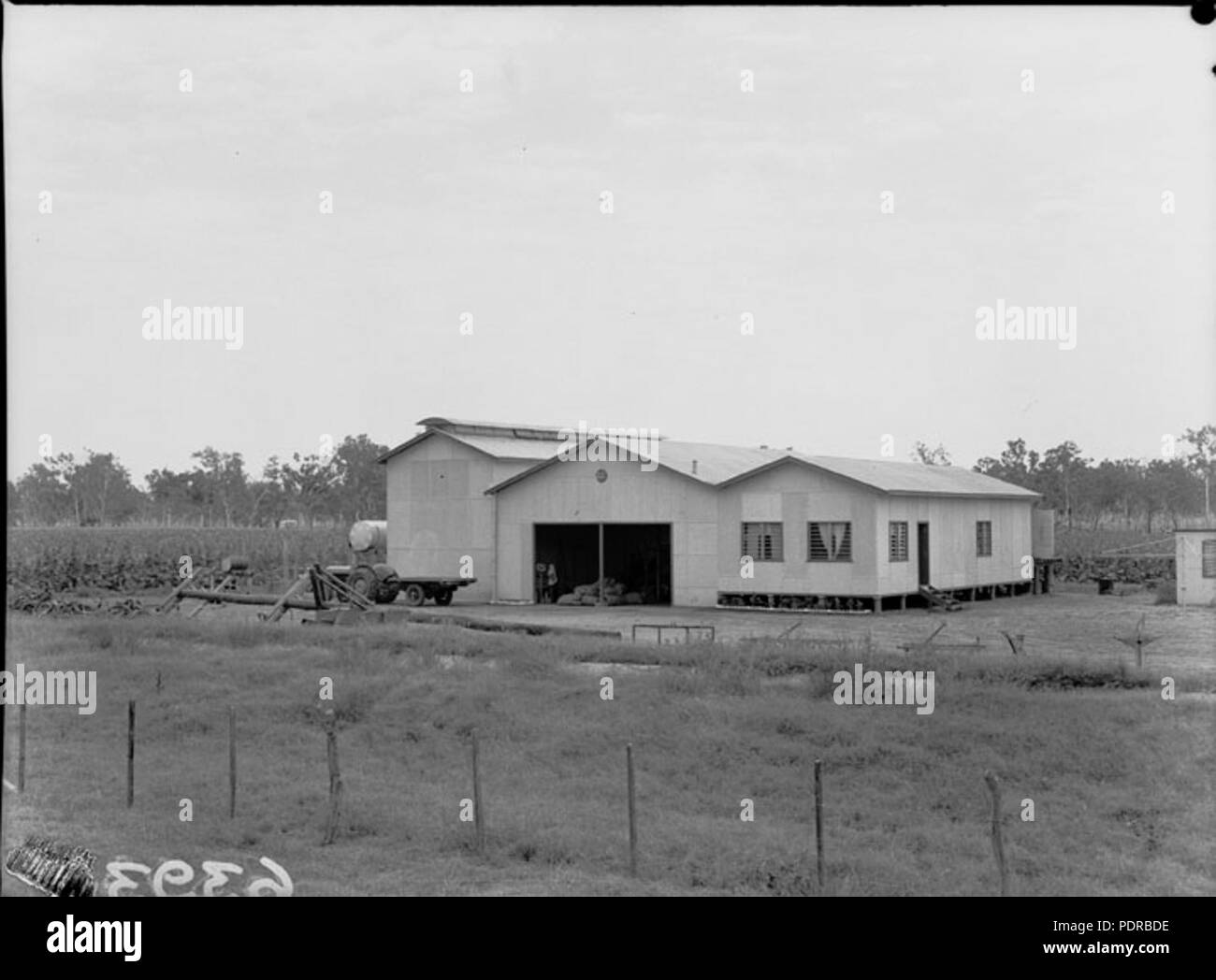 104 Queensland State Archives 1833 Tobacco farming Ayr November 1955 Stock Photo