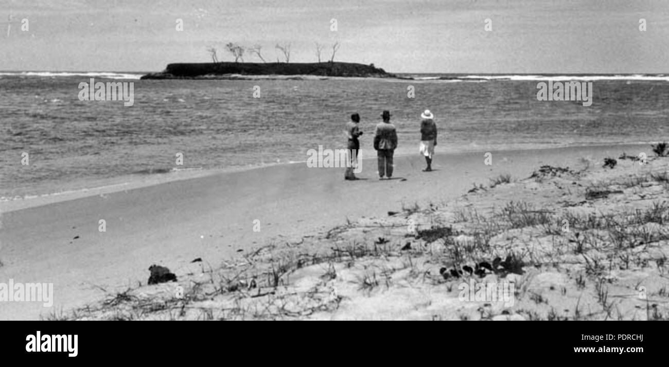 112 Queensland State Archives 377 Pincushion Island Maroochy Shire c