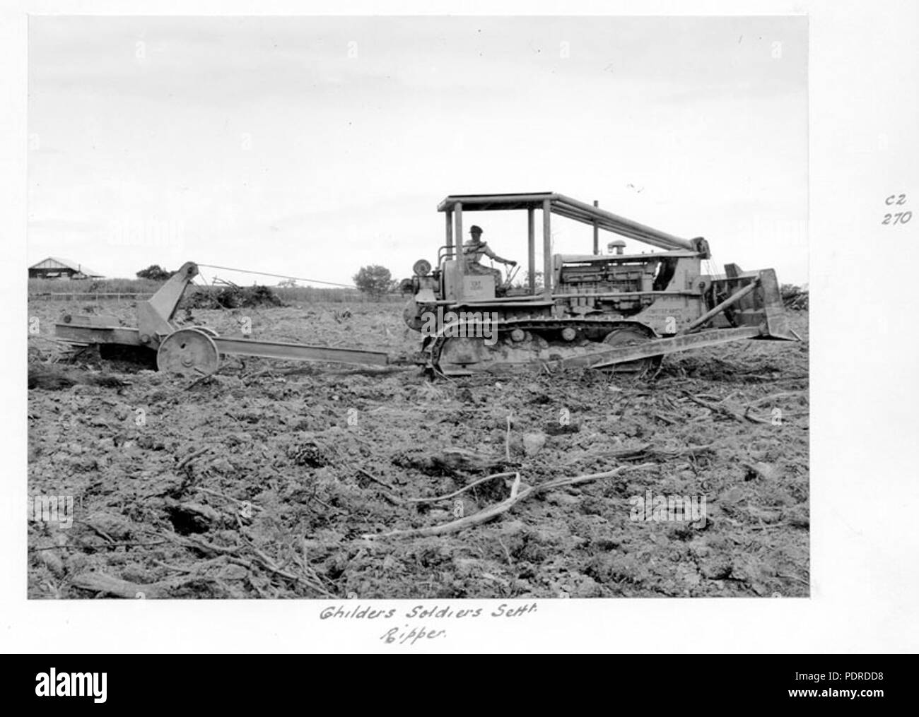 115 Queensland State Archives 4303 Ripper in action at the Childers Soldiers Settlement 1950 Stock Photo