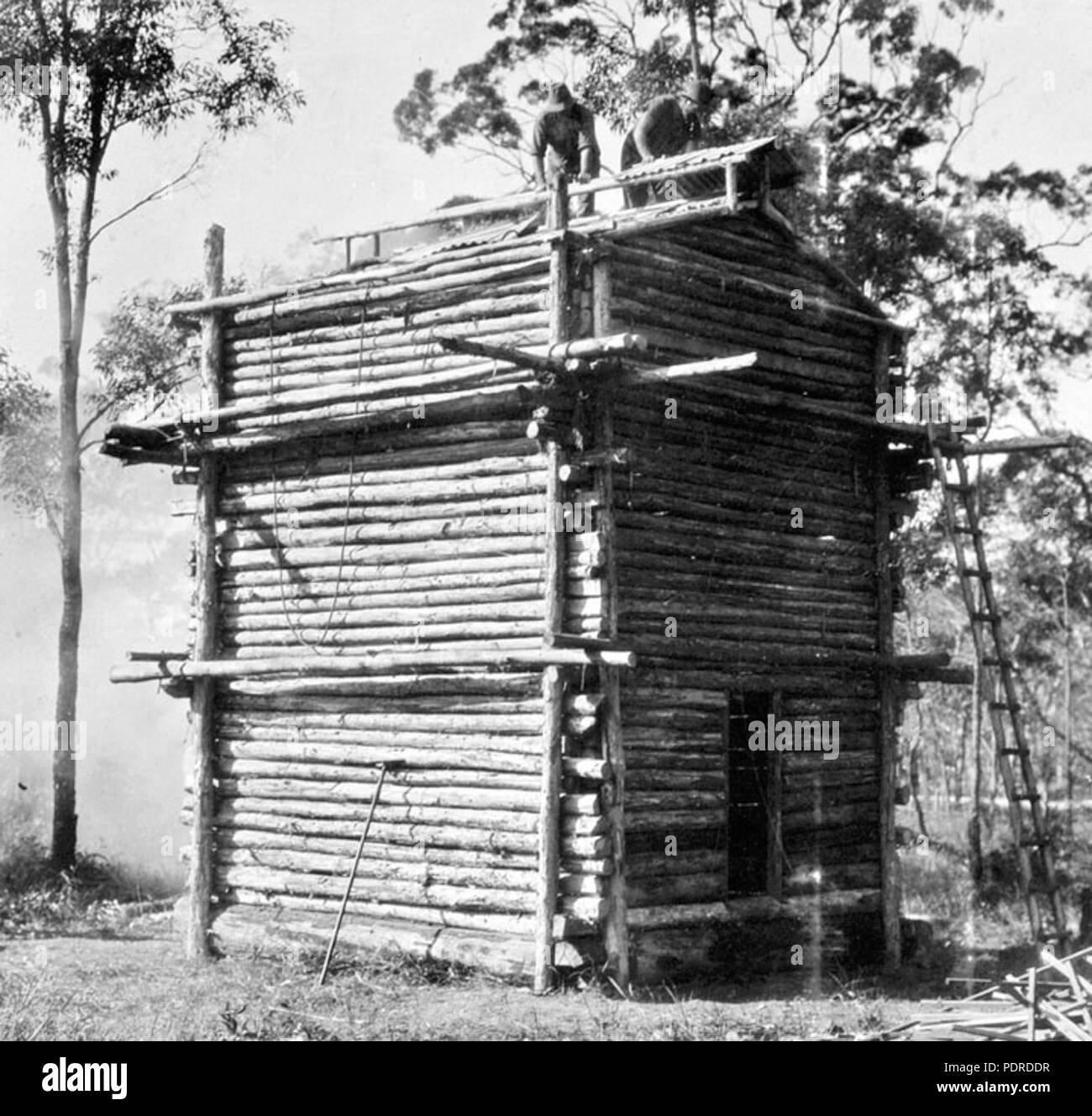 115 Queensland State Archives 4315 Tobacco growing at Beerburrum log barn  1933 Stock Photo