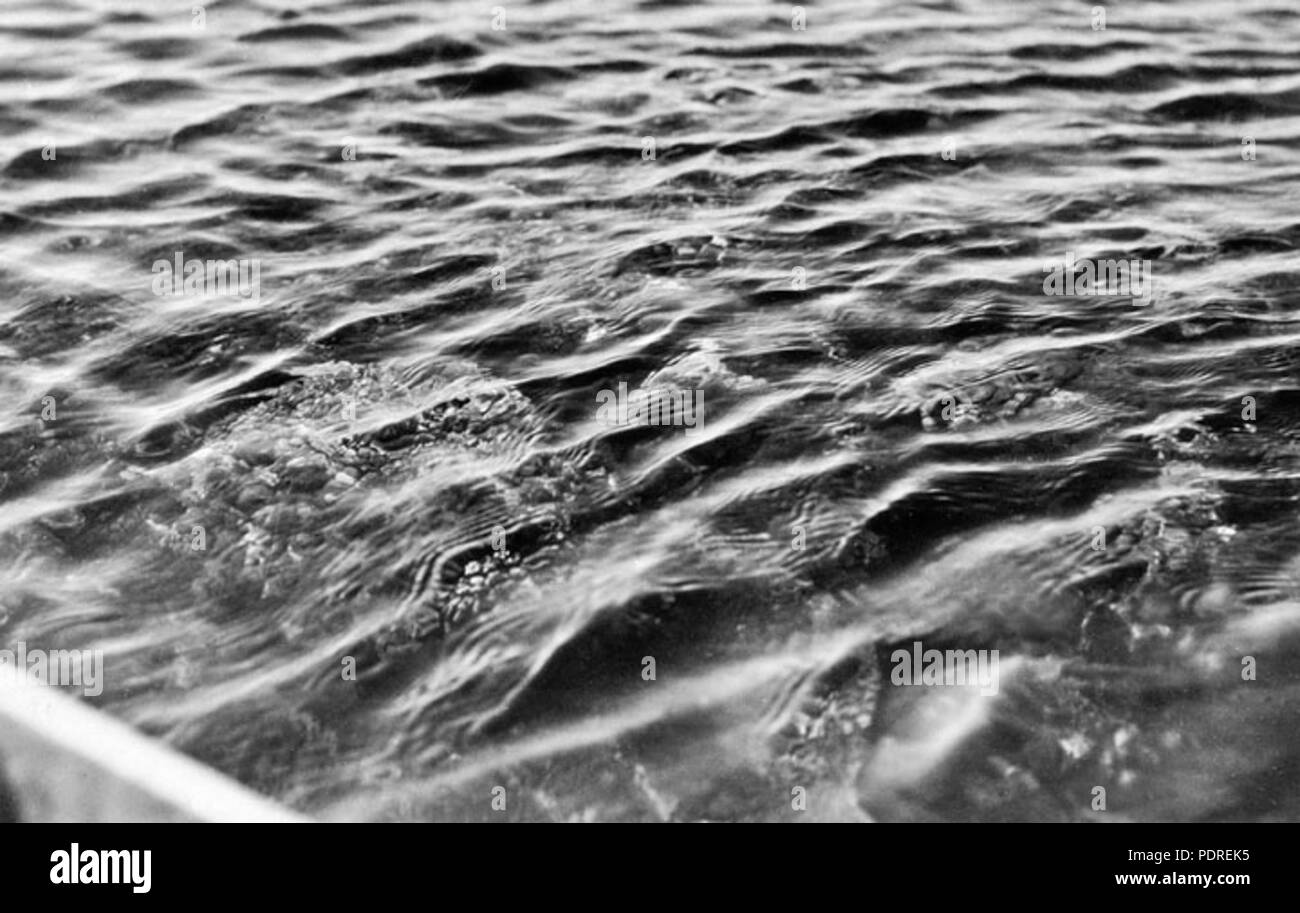 Underwater photo underwater Black and White Stock Photos & Images - Alamy