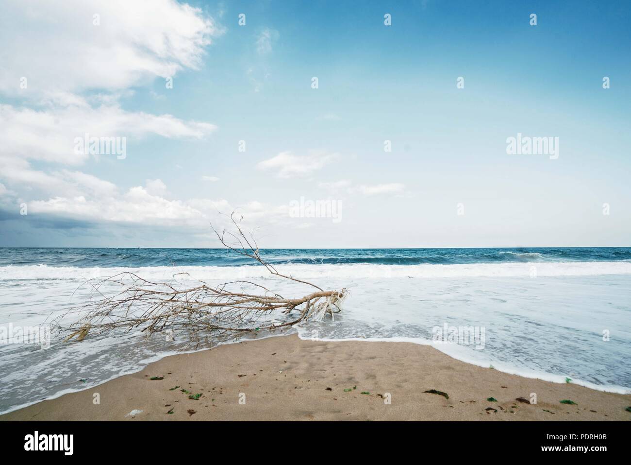 Black Sea coast in Turkey Kirklareli Province kiyikoy and stunning background photo Stock Photo