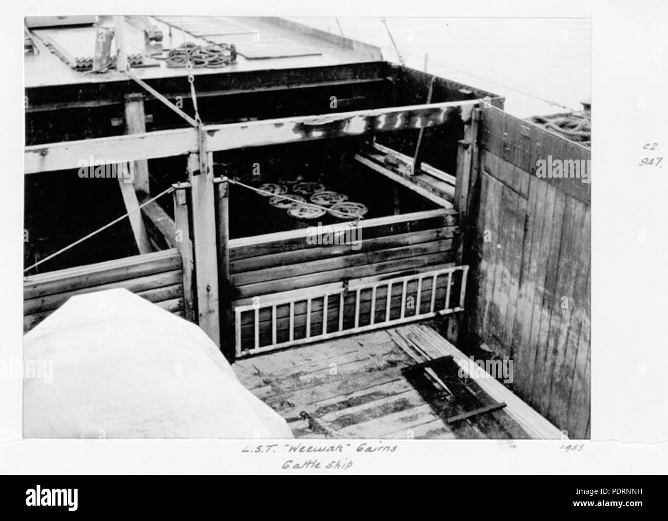118 Queensland State Archives 4930 Cattle Transport Boat LST Weewak Cairns 1953 Stock Photo