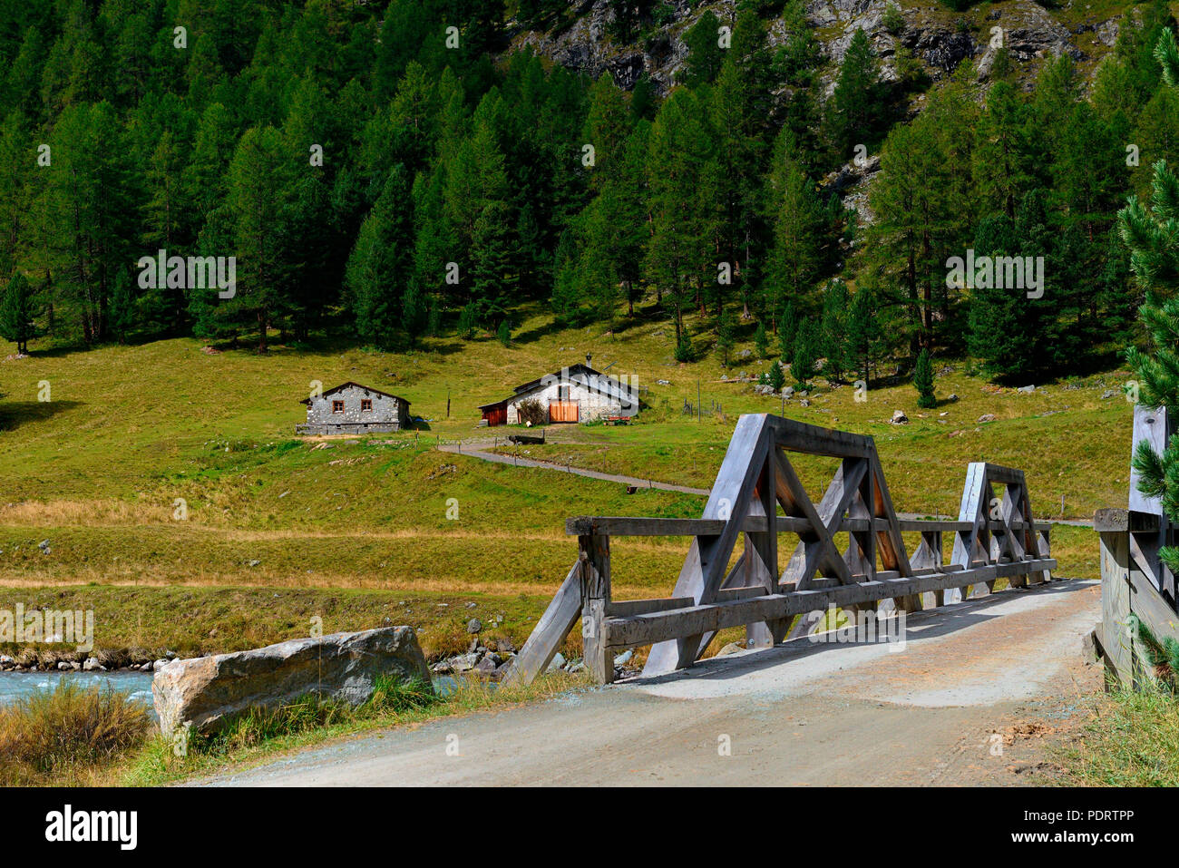 Alpe Pruema im Val Roseg, Pontresina, Engadin, Kanton Graubuenden, Schweiz, Europa, Alpe Prüma Stock Photo