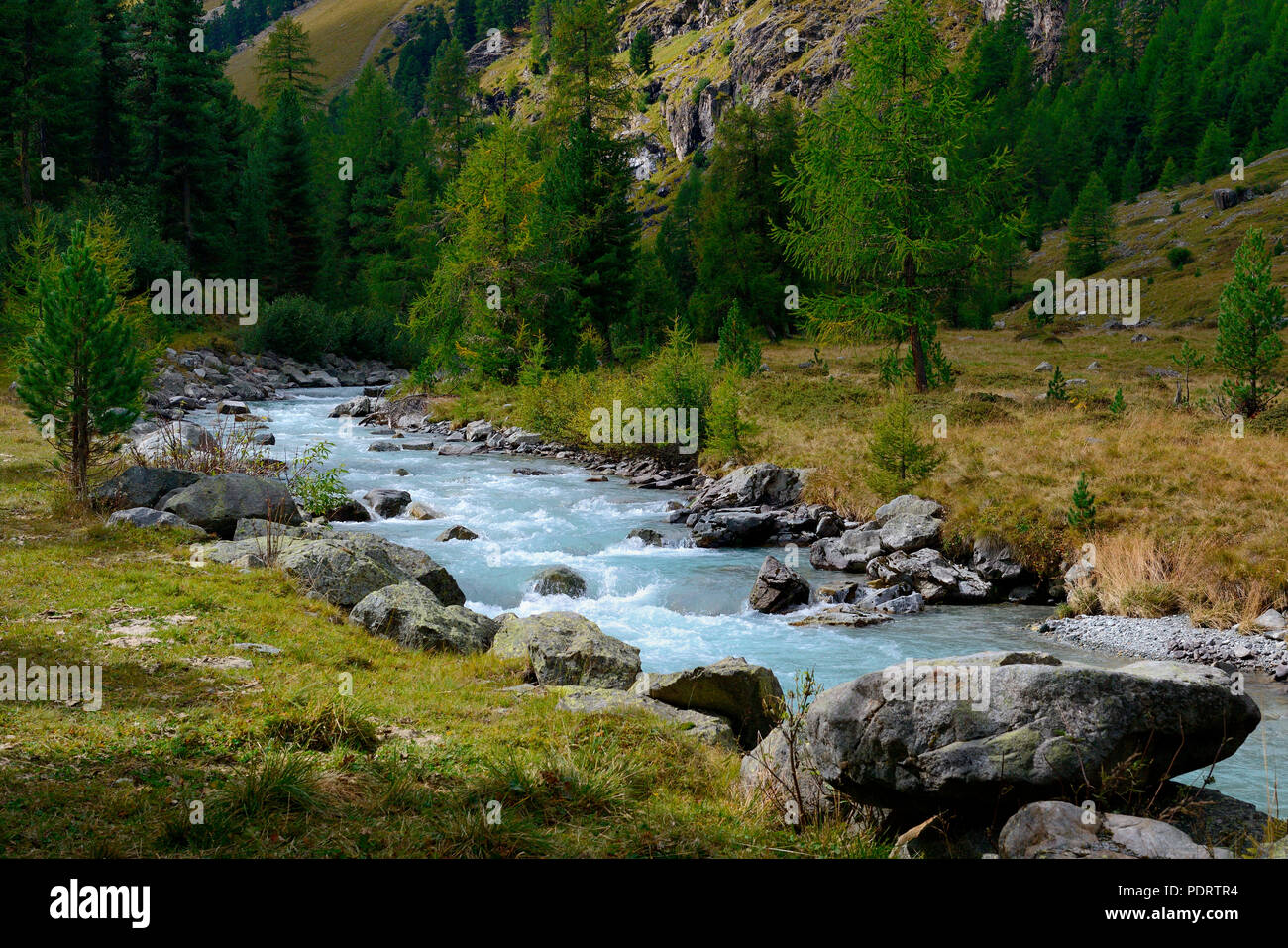 Val Roseg mit Fluss Ova da Roseg, Pontresina, Engadin, Kanton Graubuenden, Schweiz, Europa Stock Photo