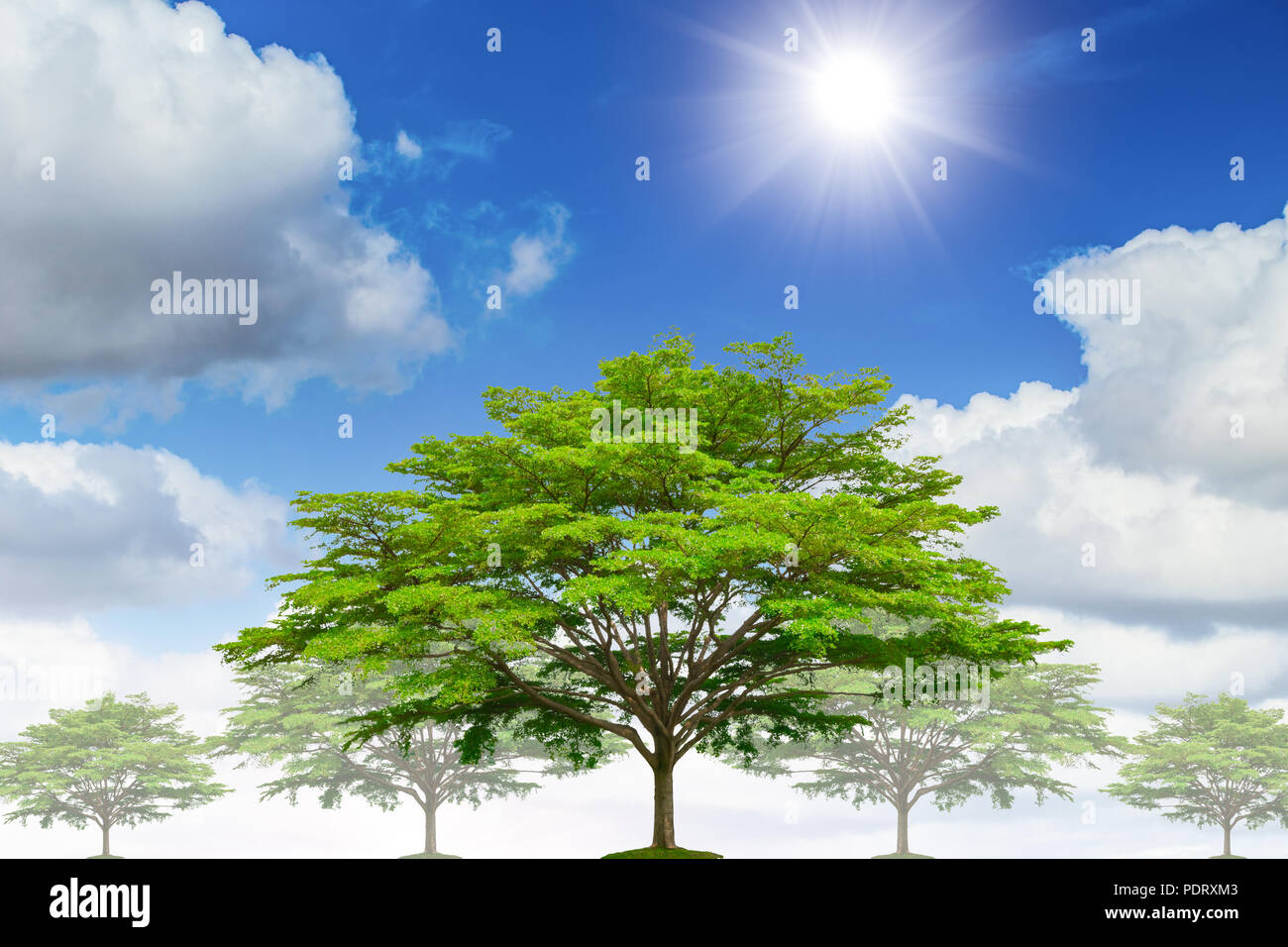Agriculture outdoor environment hi-res stock photography and images - Alamy