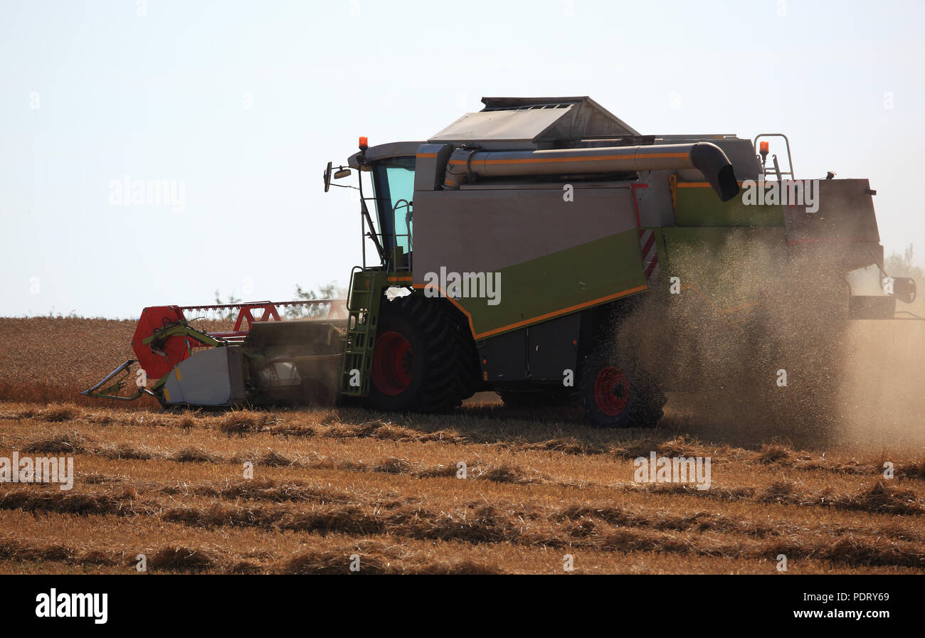 Mähdrescher bei der Weizenernte auf einem trockenen staubigen Feld Stock Photo