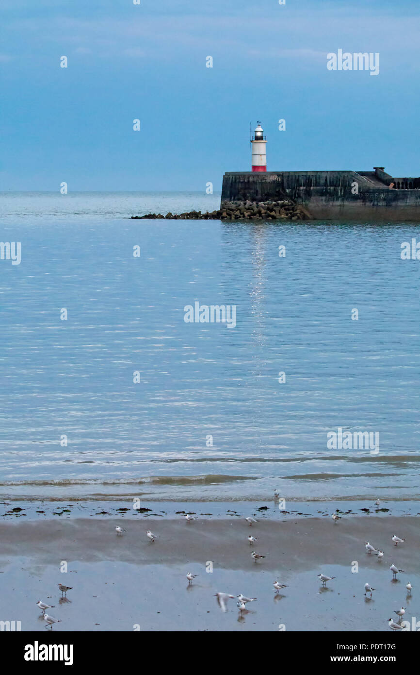 Newhaven Lighthouse on July evening, with birds on beach at low tide and heavy clouds. Stock Photo
