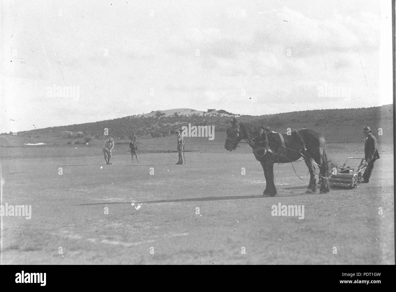 190 SLNSW 8483 The horsedrawn mower makes a vignette of a player putting Stock Photo