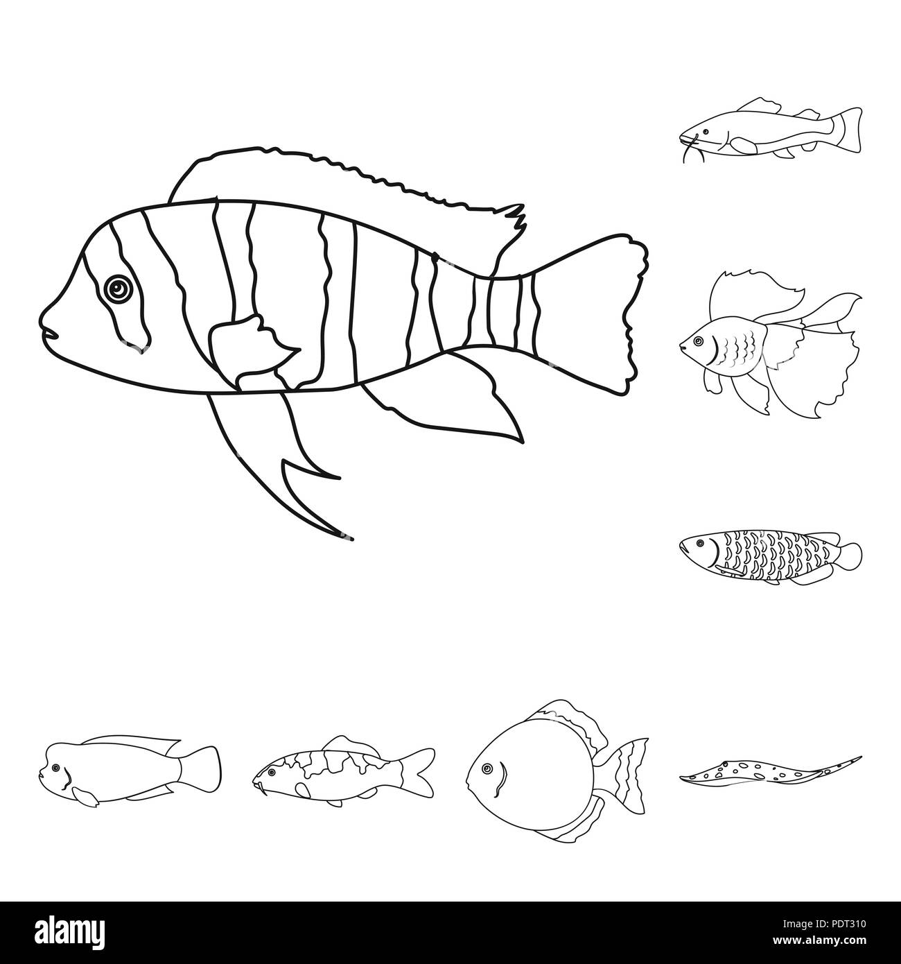 Different types of fish outline icons in set collection for design. Marine and aquarium fish vector symbol stock  illustration. Stock Vector