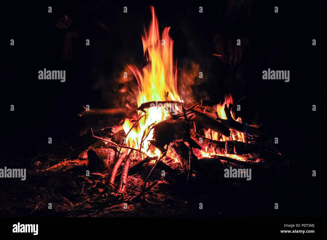 Burning bonfire with soft glowing flame in night forest Stock Photo - Alamy