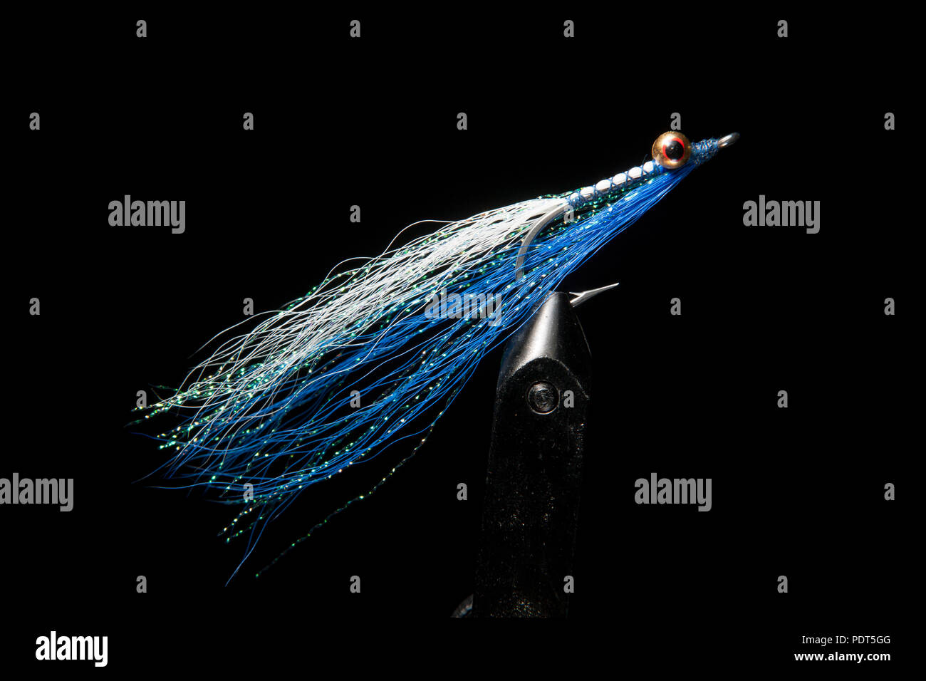 A saltwater fly, held in a fly vice, designed for catching predatory saltwater fish on a black background. Dorset England UK GB Stock Photo