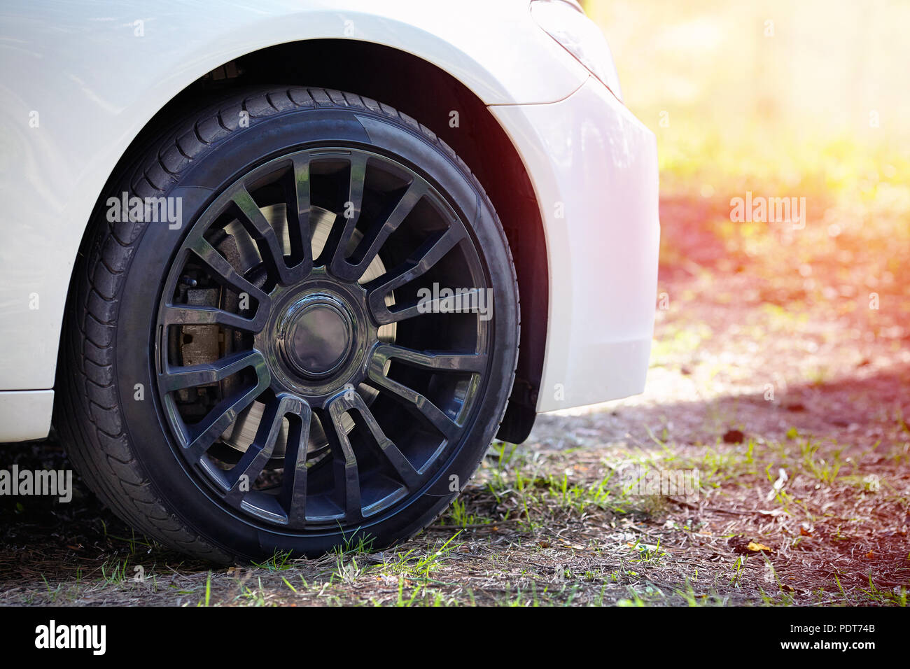 Modern auto wheel of car with beautiful black alloy disc and fresh rubber tread on rustic forest road with green grass on sunset with flares. Stock Photo