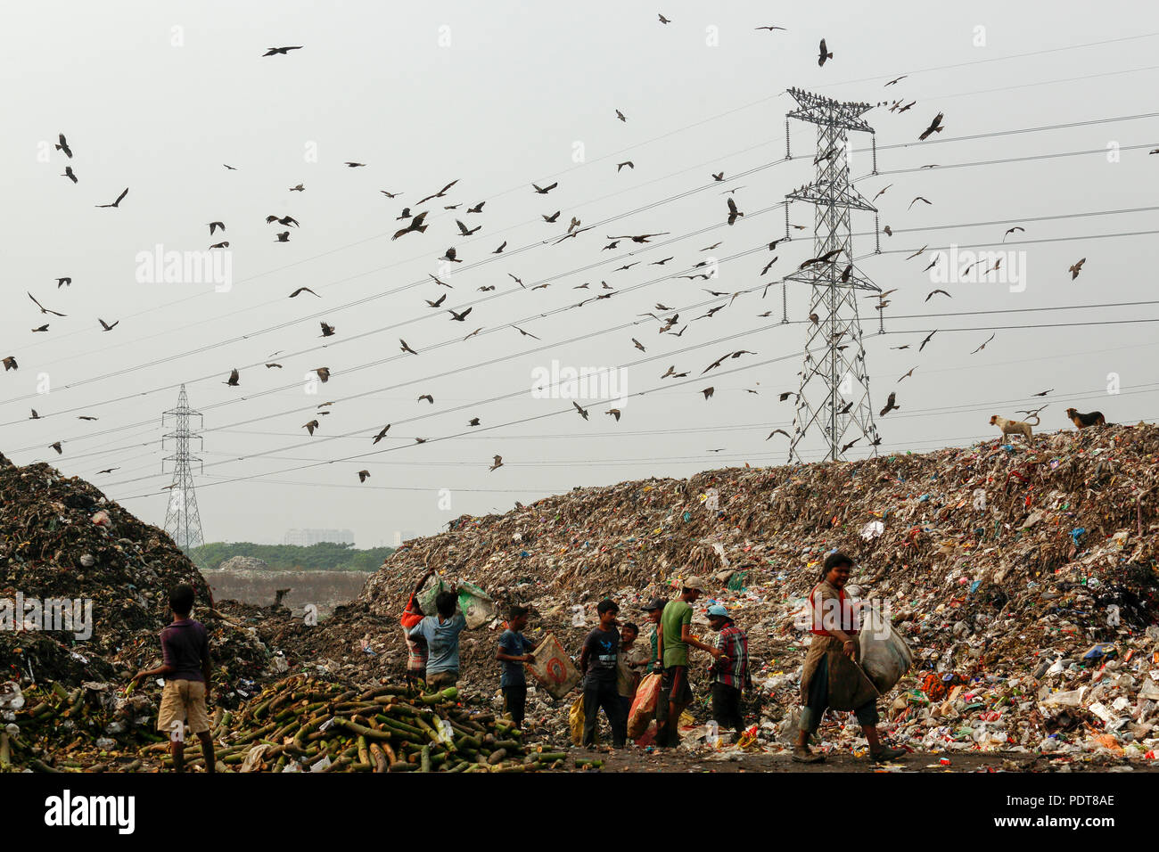 Matuail garbage dump yard in Dhaka, Bangladesh. It received 1500 tones