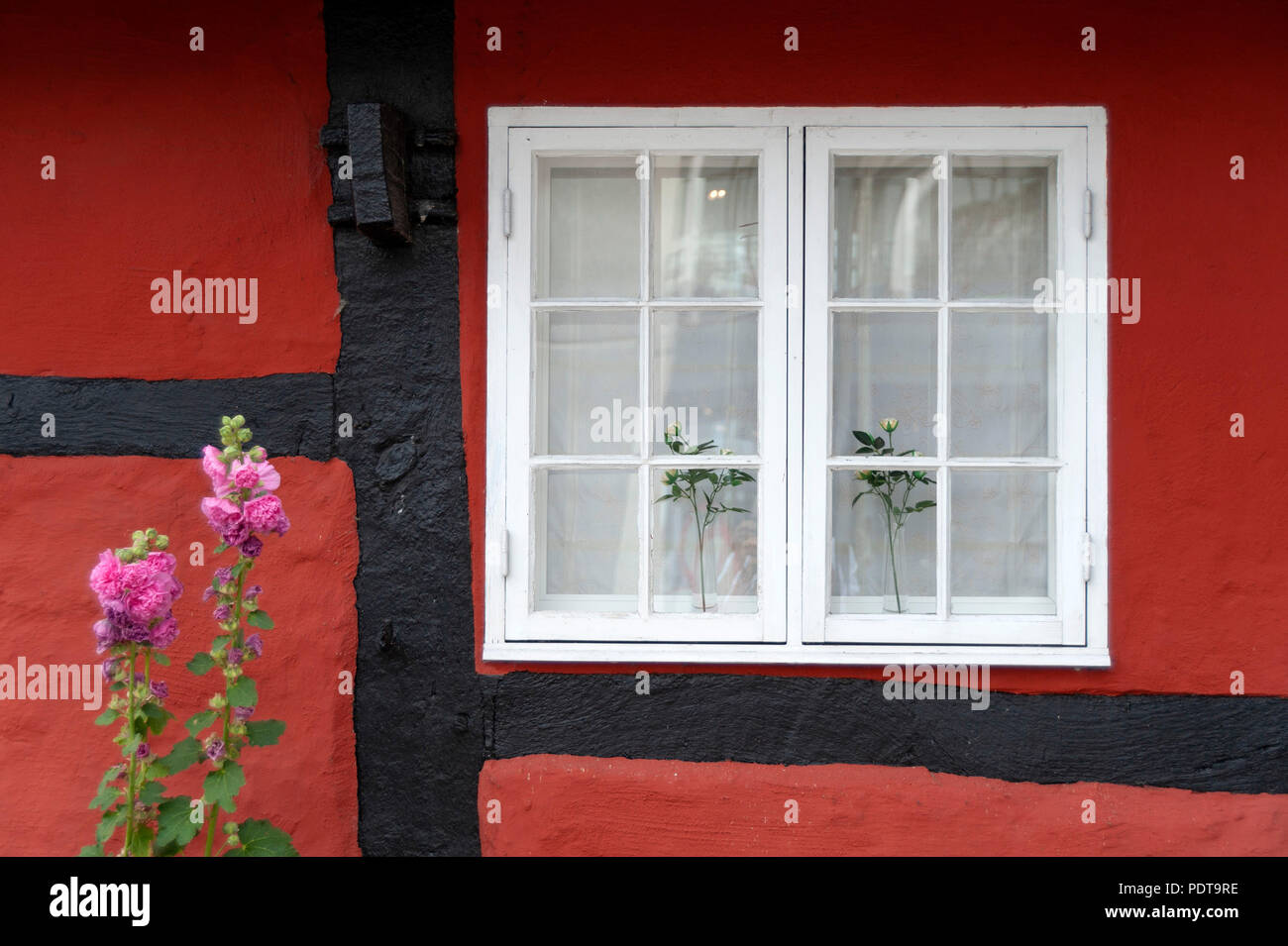 Bornholm, Aakirkeby, Hausfassade mit Stockrosen Stock Photo