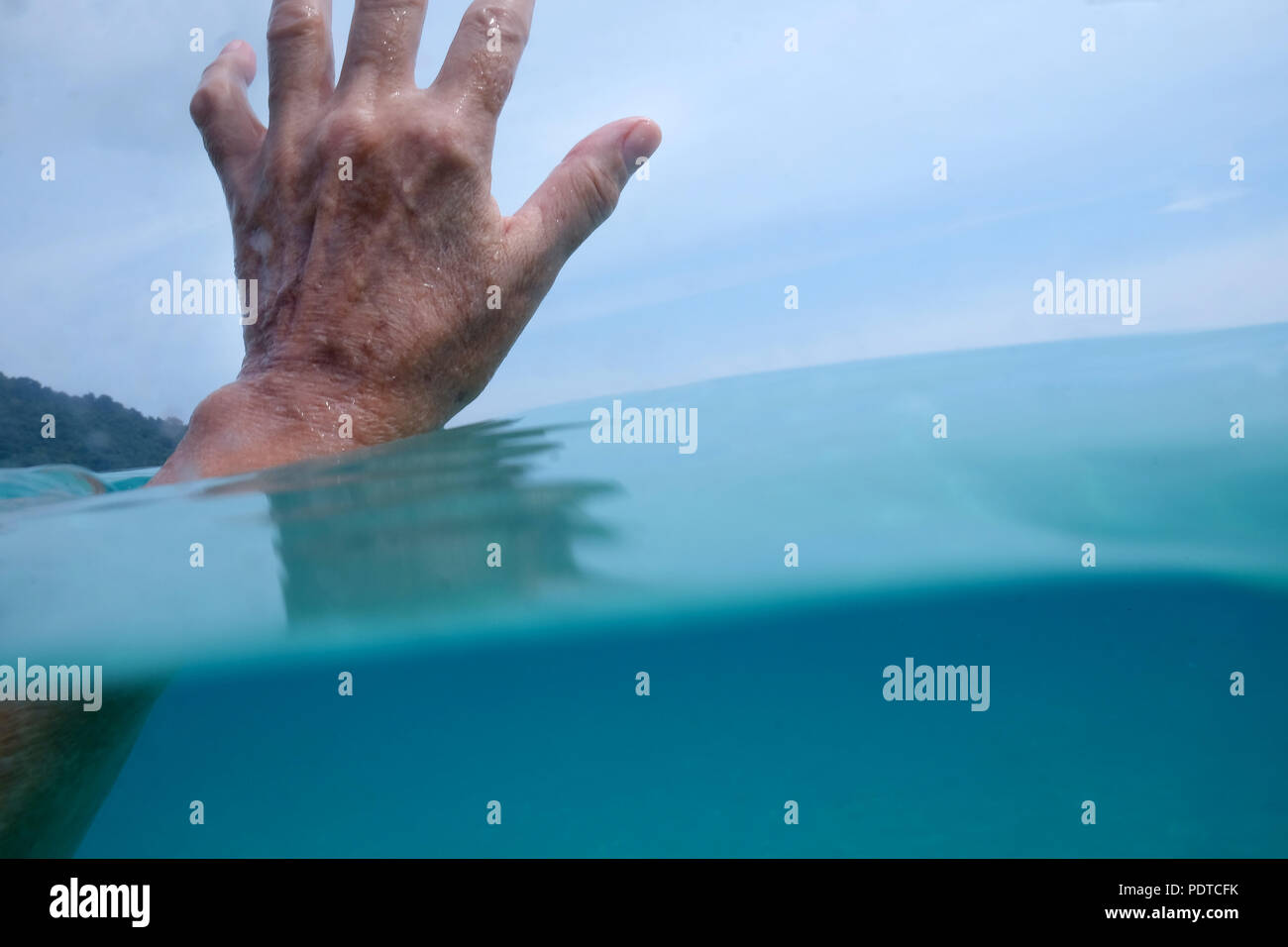 A fifty year old woman’s hand half underwater in the sea and the fingers above the water behind is blue sky and green trees Stock Photo