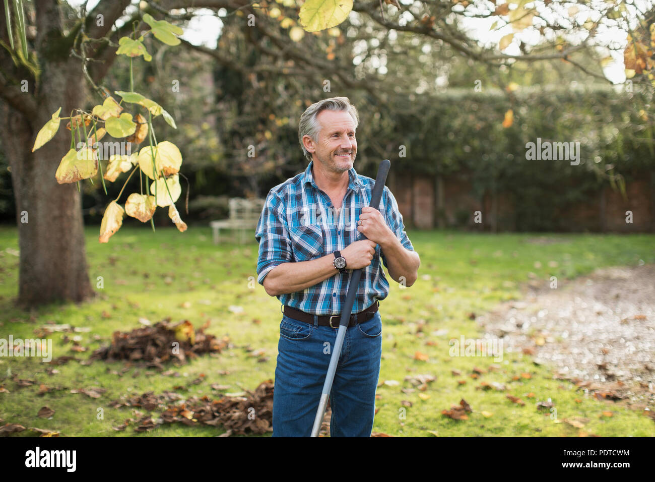 Smiling senior man raking autumn leaves in backyard Stock Photo