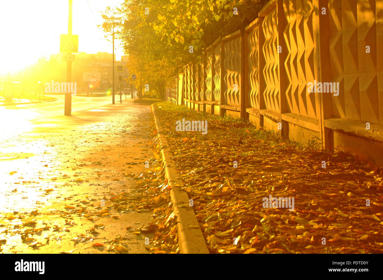 bright sunlight on the sidewalk in autumn, Moscow Stock Photo