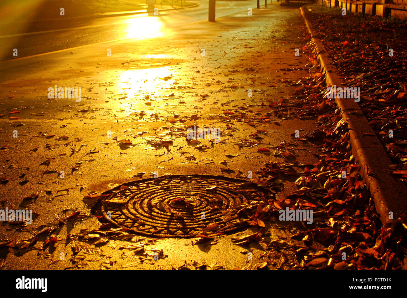 bright sunlight on the sidewalk in autumn, Moscow Stock Photo