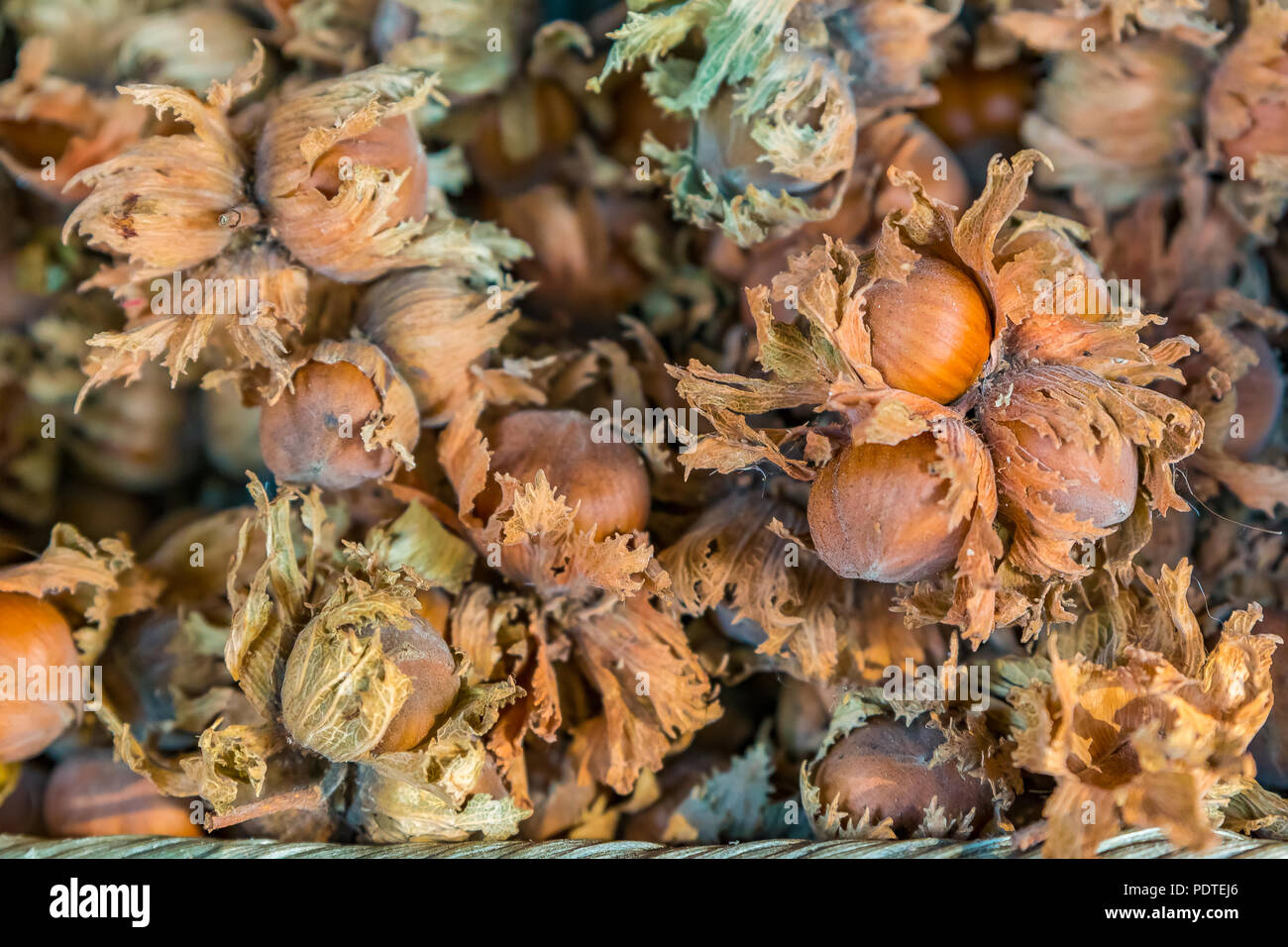 Fresh raw hazelnuts at a market in Eze in the South of France Stock Photo