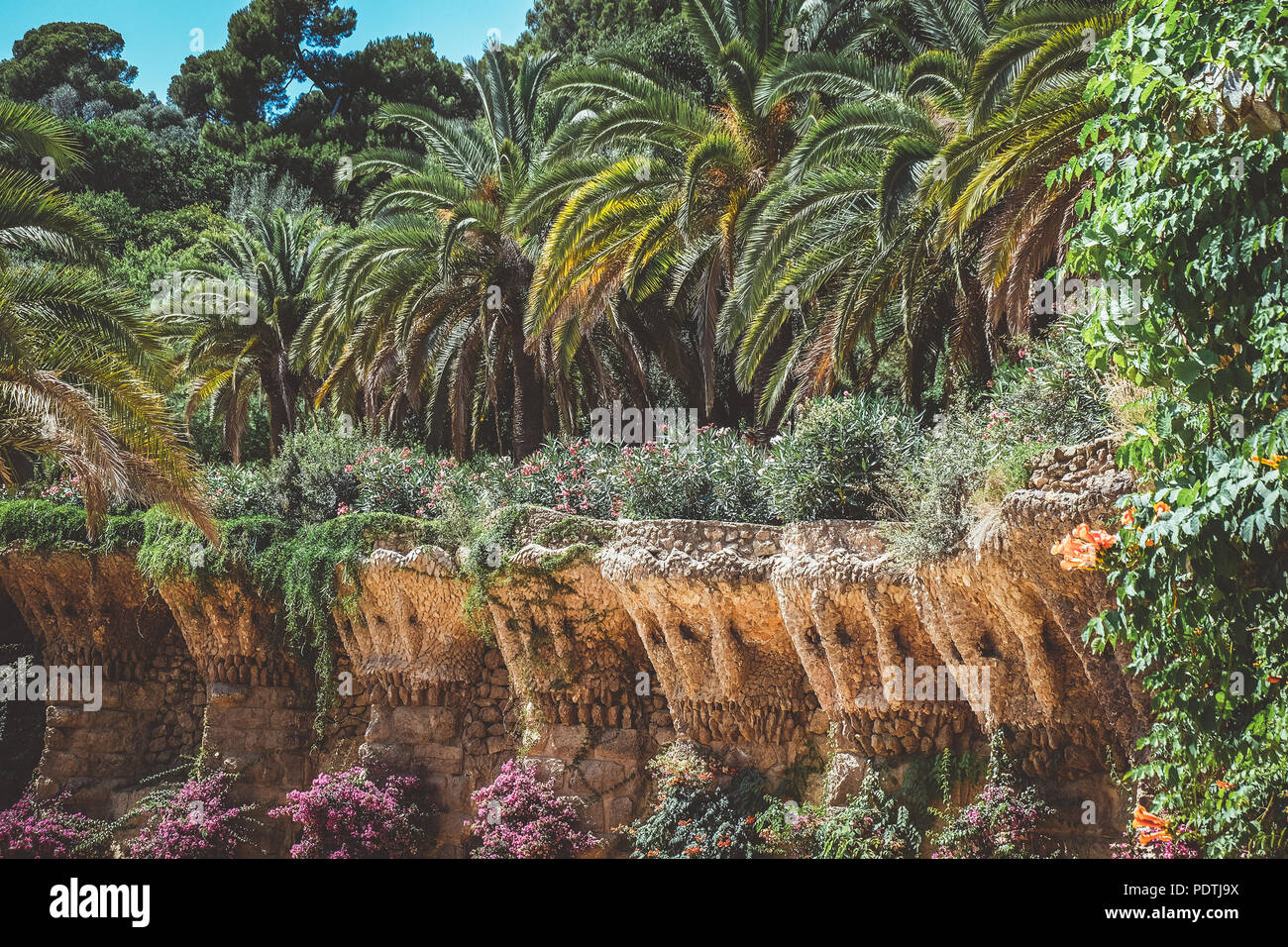 Nests in palm tree hires stock photography and images Alamy