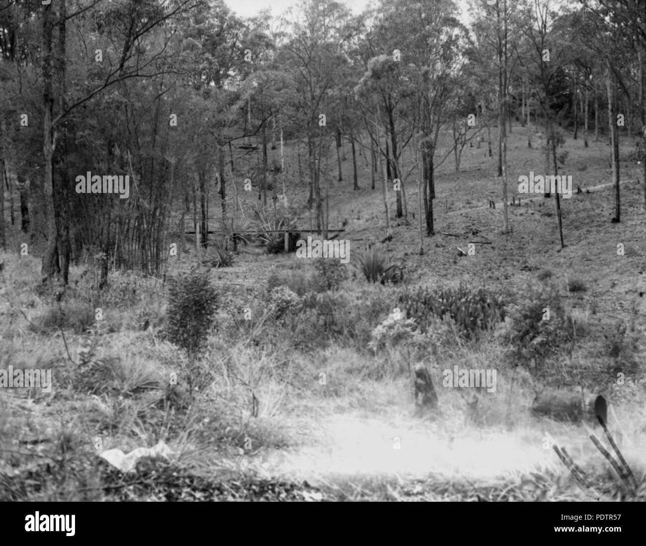 103894 Black and White Stock Photos & Images Alamy