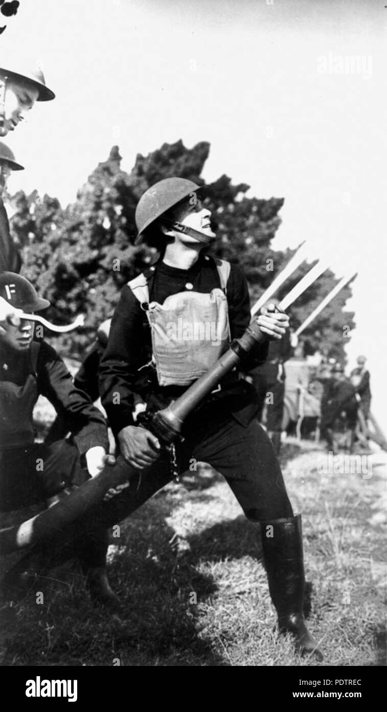 202 StateLibQld 1 105436 Firefighting display in the Domain, Brisbane ...