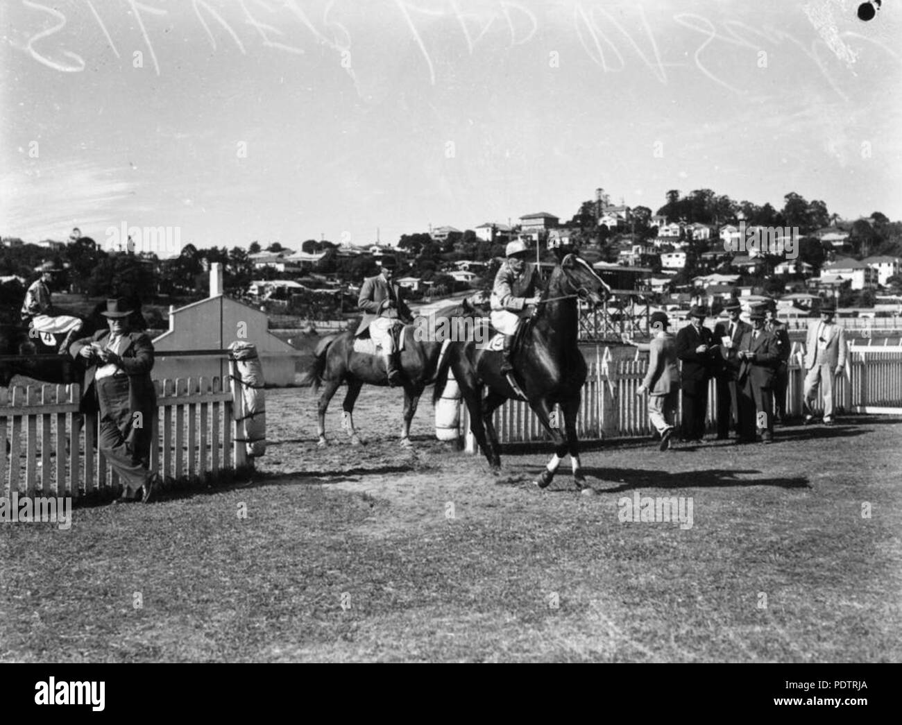 203 StateLibQld 1 107316 Silver Lad coming back to scale after winning a race at Albion Park, 1945 Stock Photo