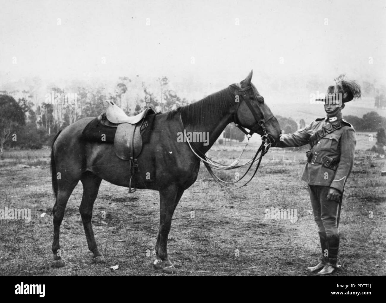Light horse harry hires stock photography and images Alamy