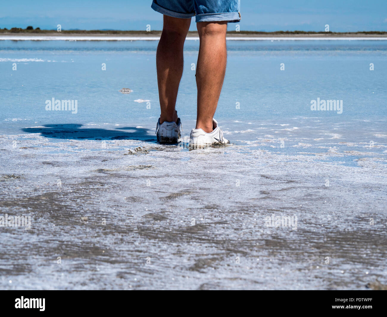 solo traveler standing on a salt flat in Camargue National Park South of France Stock Photo