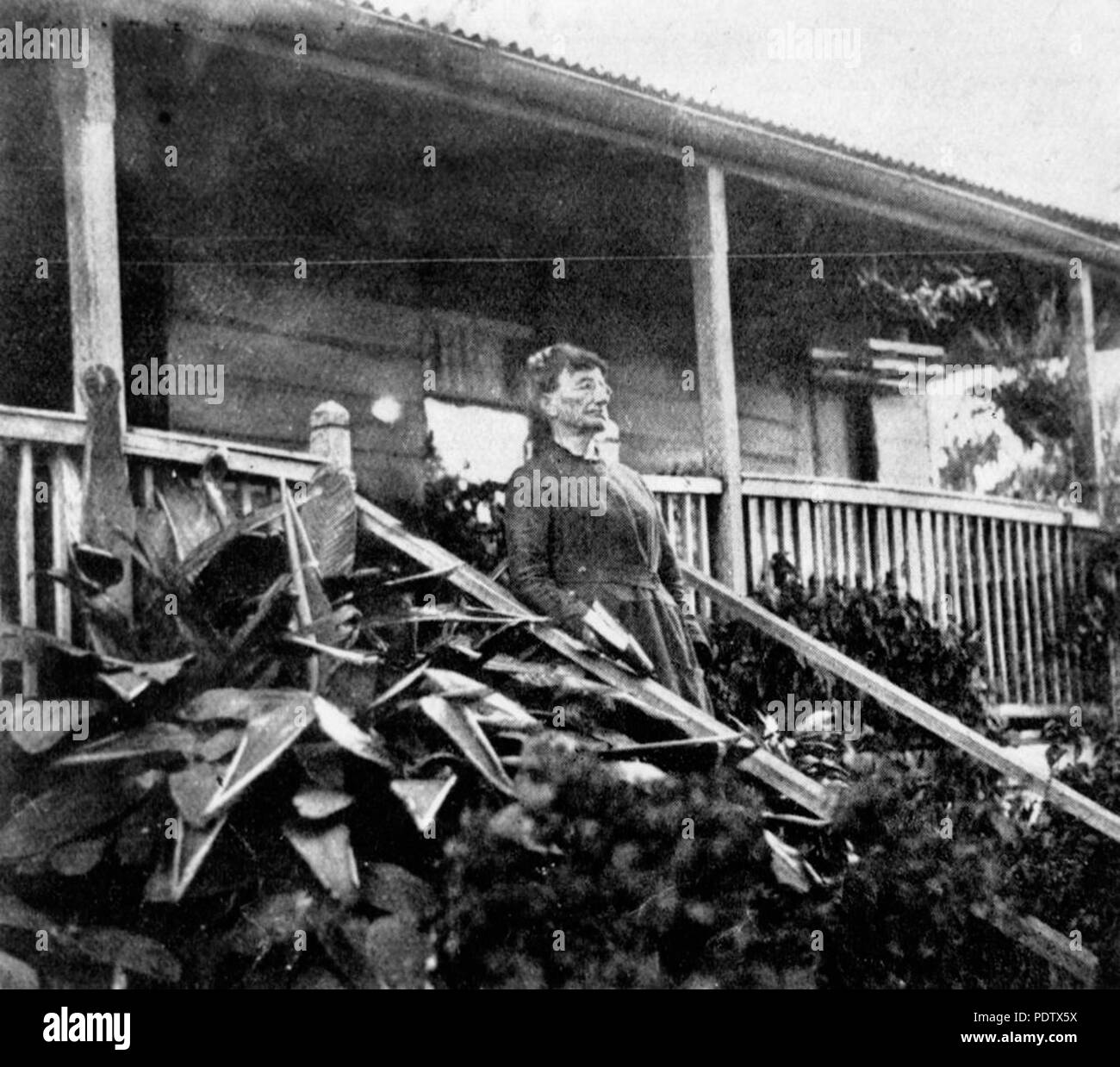 Gympie Black and White Stock Photos & Images Alamy