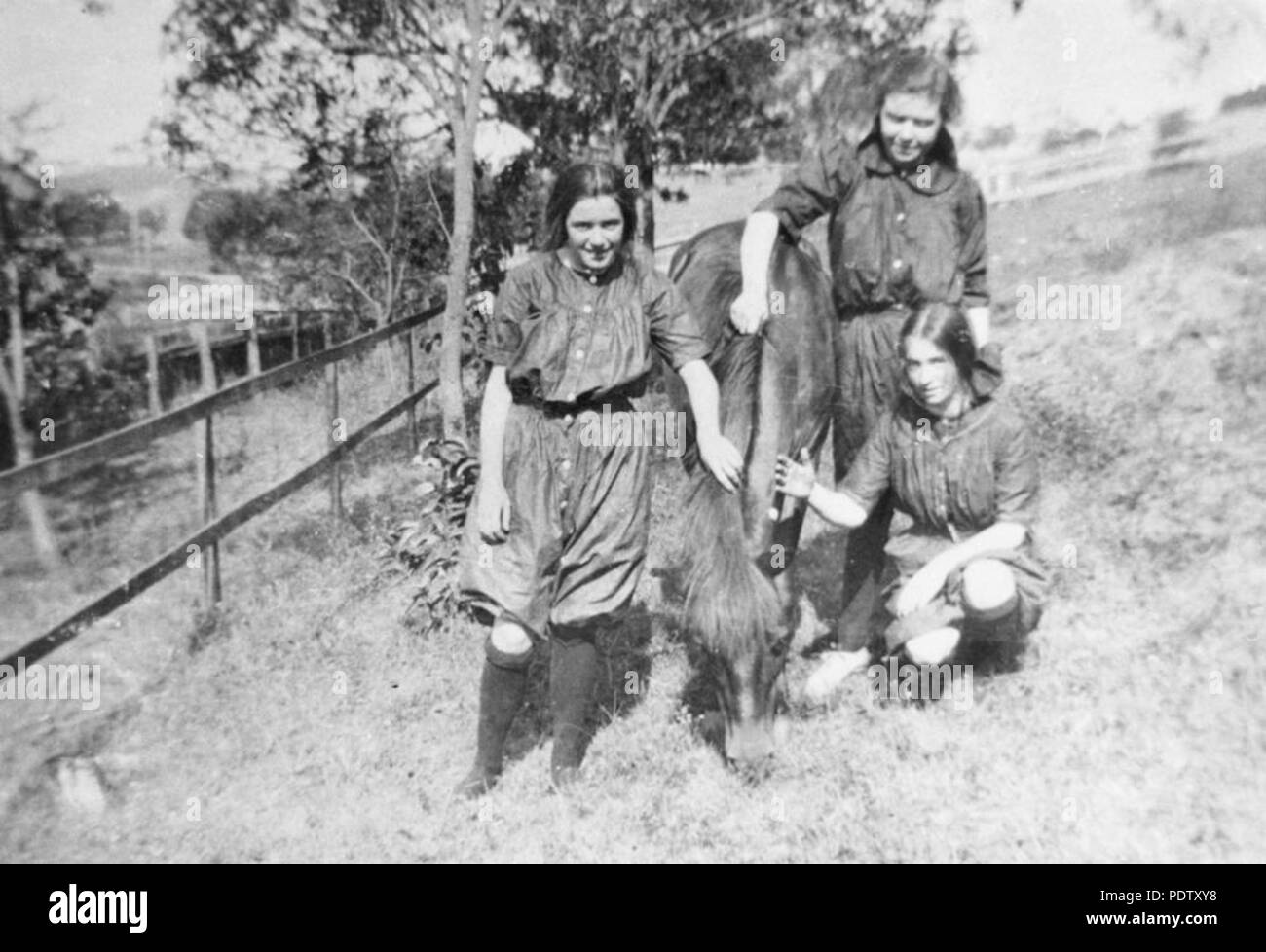 216 StateLibQld 1 129751 Girls from the Brisbane Girls Grammar School patting a horse, Brisbane, 1914 Stock Photo