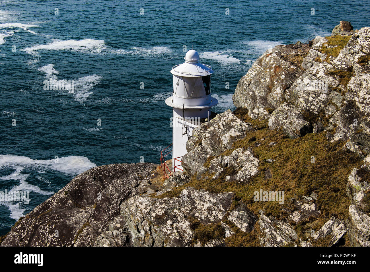 Sheeps head hires stock photography and images Alamy