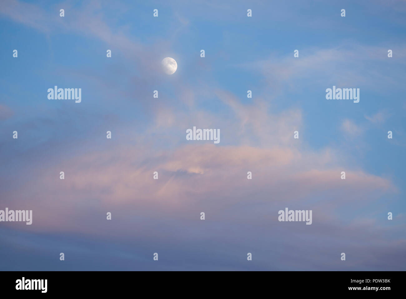 Waxing gibbous moon against a blue sky at dusk partially obscured by pink Altocumulus cloud. Viewed from the Northern Hemisphere. Stock Photo