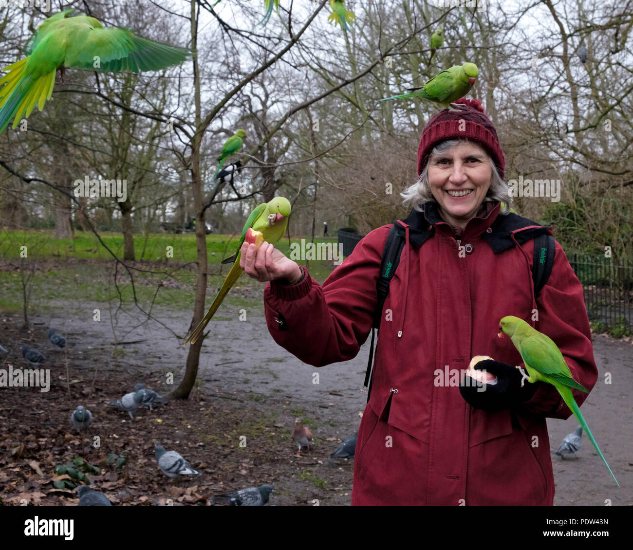 A lady with wild parakeets on her head and arms smiles as she offers