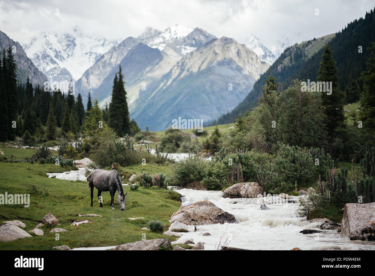 Kyrgyzstan Mountain Scenery Asia Hi res Stock Photography And Images Kyrgyzstan Mountain Scenery Asia Hi res Stock Photography And Images