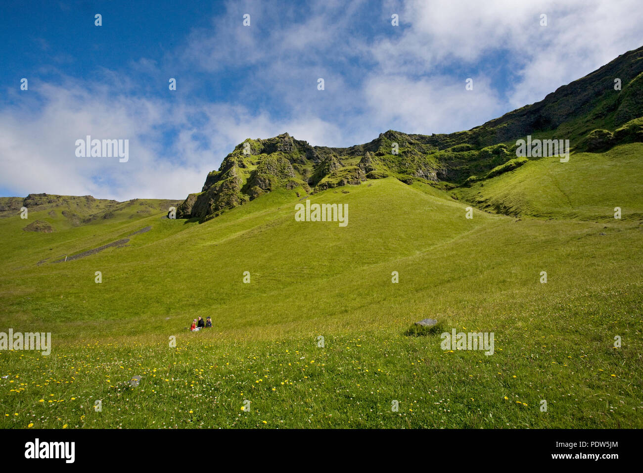 An Icelandic family picnics in a flower filled meadow in the Reynisdrangar park on the Atlantic Ocean, near Vik in southern Iceland. Stock Photo