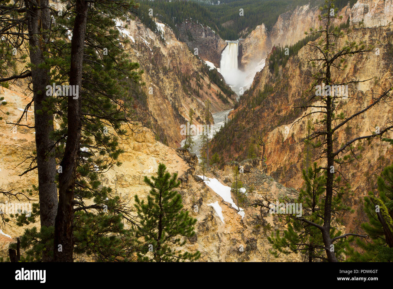 Lower Yellowstone Falls, Yellowstone National Park, Wyoming Stock Photo