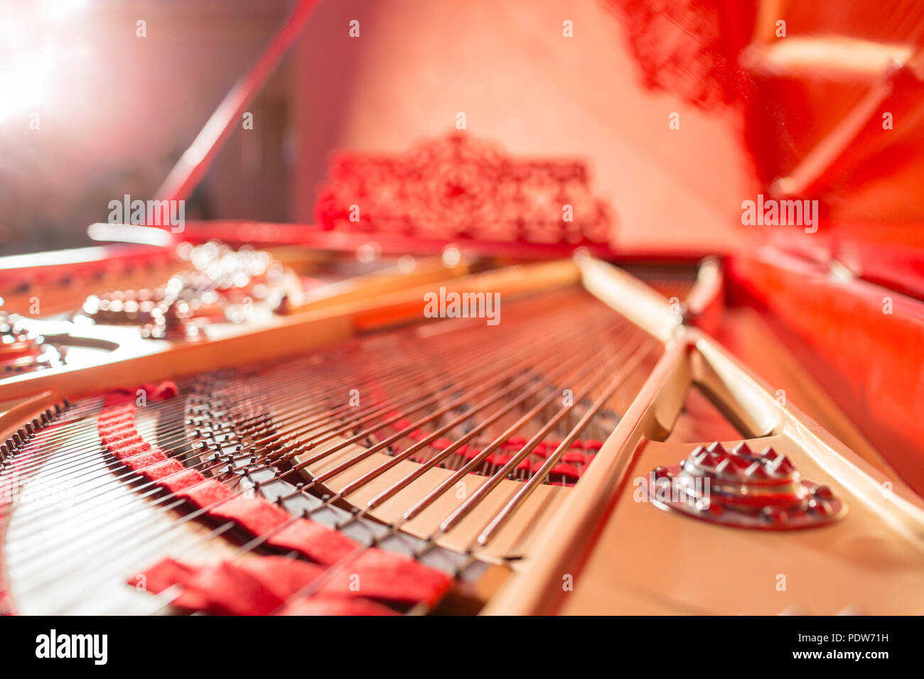 Strings inside a red grand piano. Piano playing, dampers, felt hammers