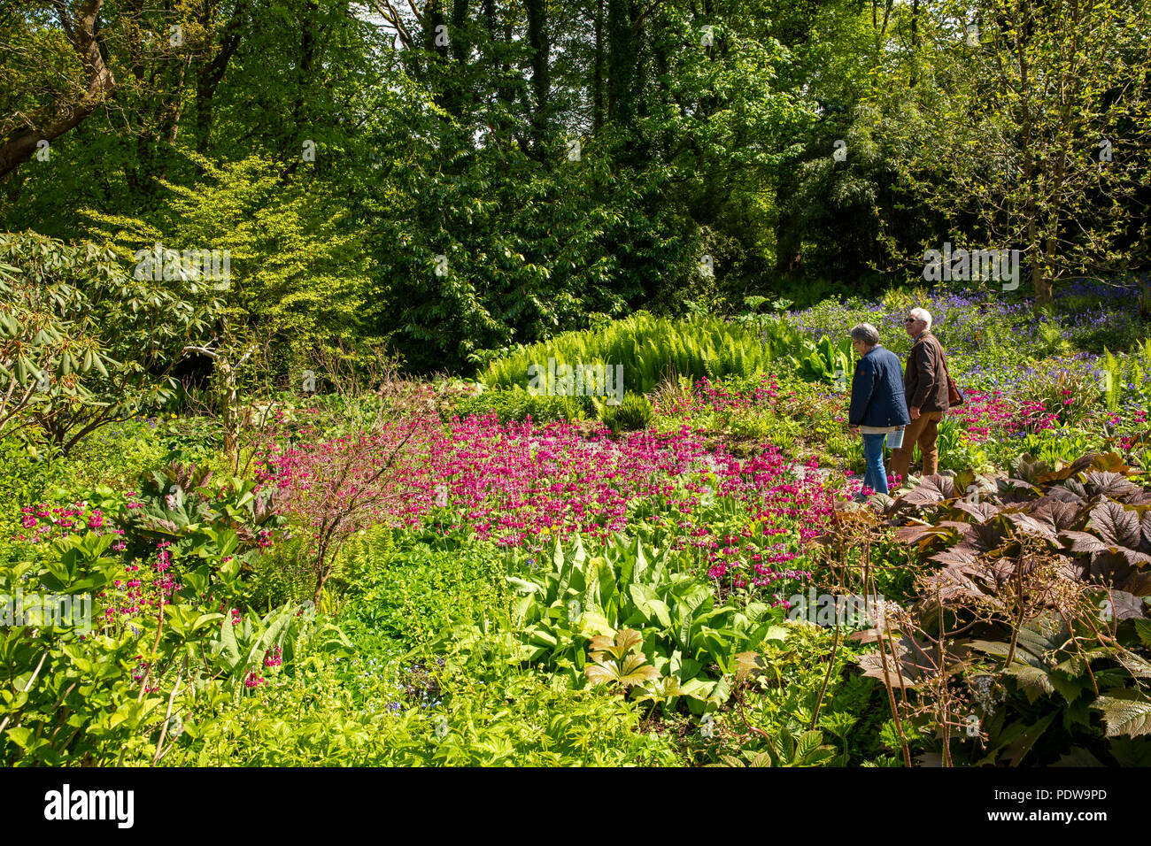 Hidden gardens hires stock photography and images Alamy