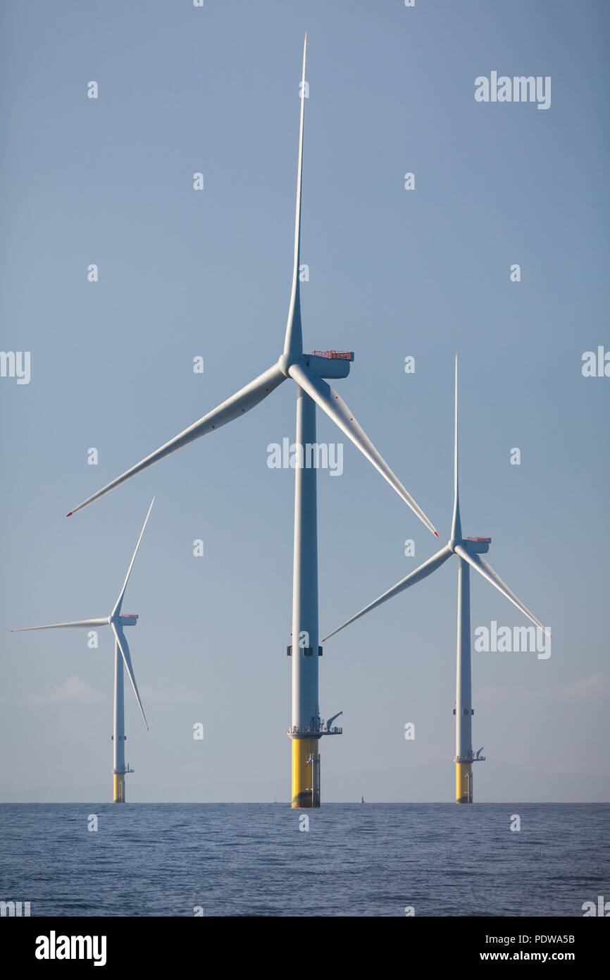 MHI Vestas V164-8.0MW wind turbines on the Walney Extension Offshore wind farm, the world's largest offshore wind farm. The turbines are one of the most powerful turbines in the world Stock Photo