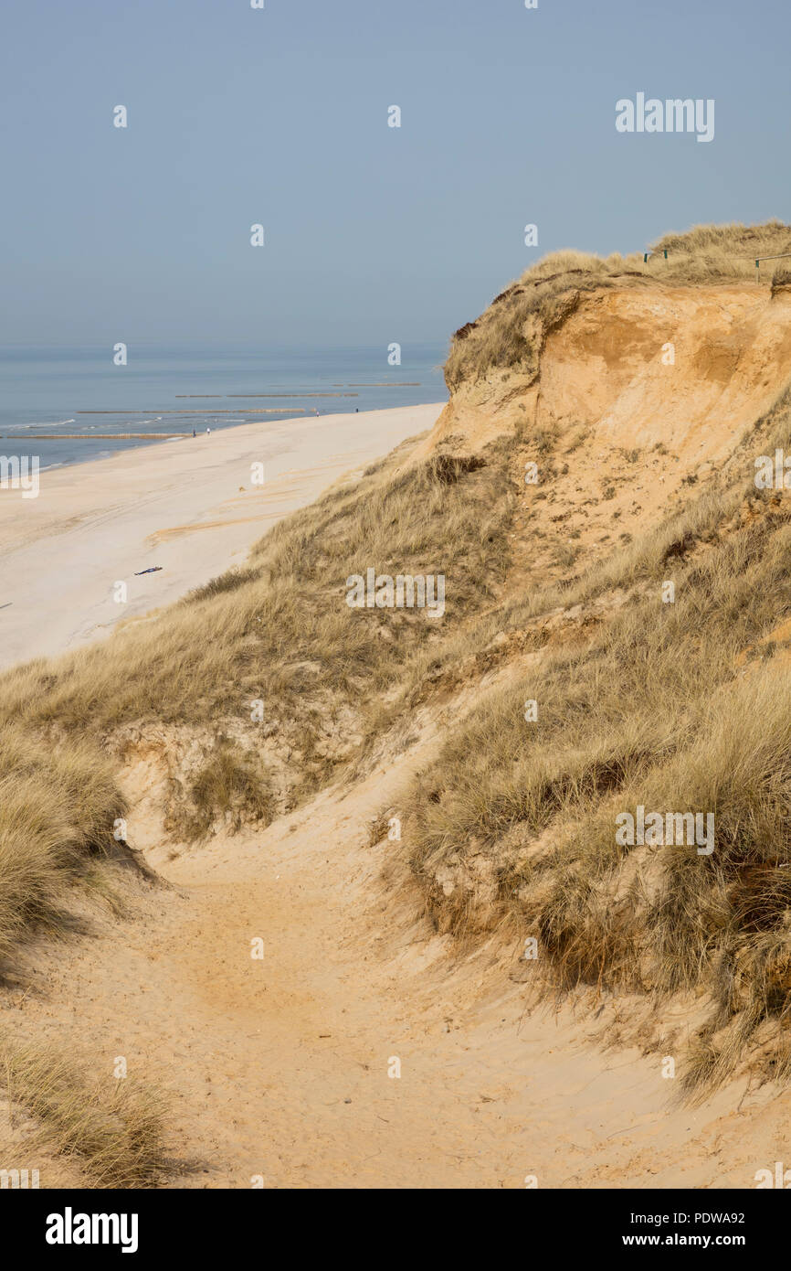Red Cliff, Kampen, Sylt, North Frisian Island, North Frisia, Schleswig-Holstein, Germany, Europe Stock Photo