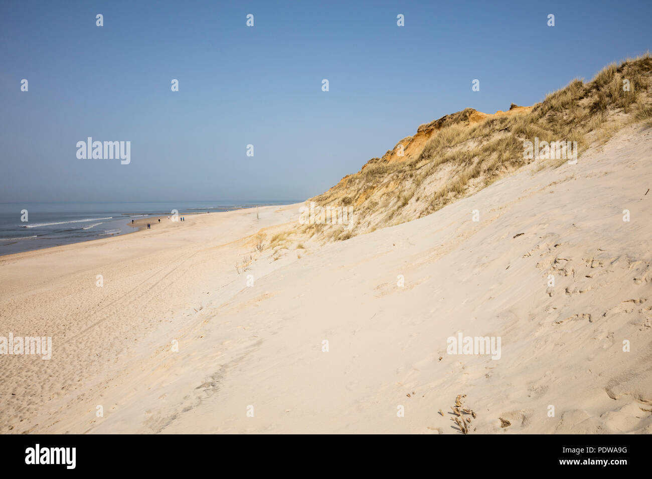 Red Cliff, Kampne, Sylt, North Frisian Island, North Frisia, Schleswig-Holstein, Germany, Europe Stock Photo