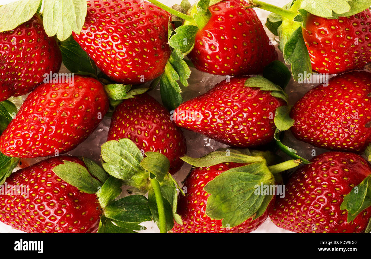 Juicy greenery hi-res stock photography and images - Alamy