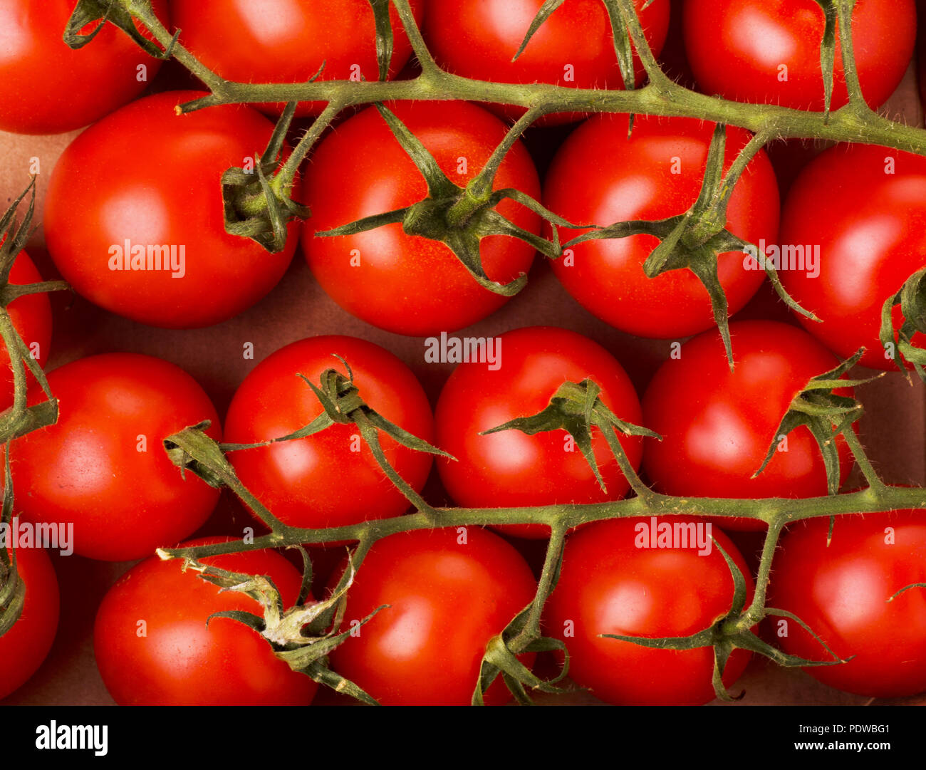 Small red cherry tomatoes on a box in rustic style Stock Photo