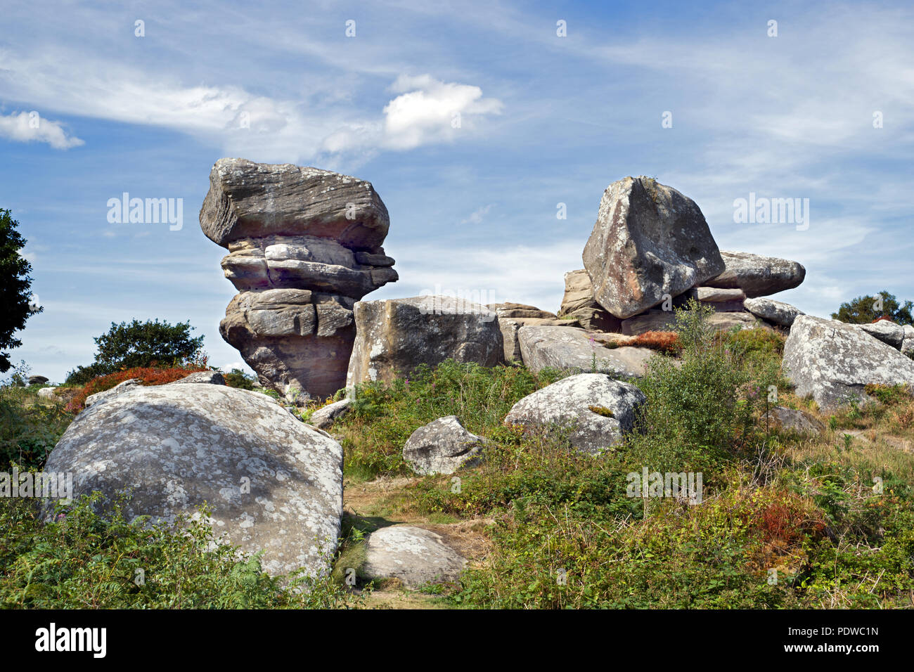 Brimham Rocks is a stunning collection of natural millstone rock formations in North Yorkshire, managed by the National Trust. Stock Photo