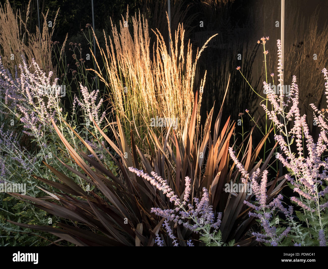 Architectural planting of grasses and drought resistant plants Stock Photo