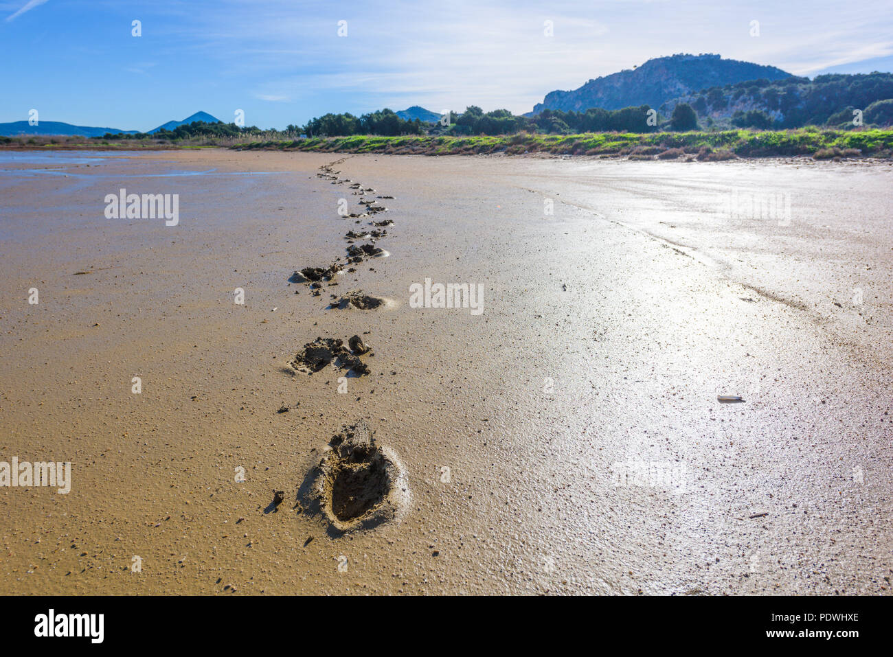 Human footprints in mud and sand marsh in Gialova lagoon, Greece Stock Photo